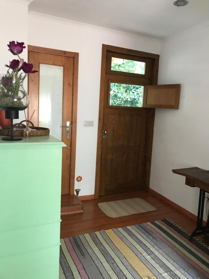 Casas Botelho Elias Pinhão Extérieur photo